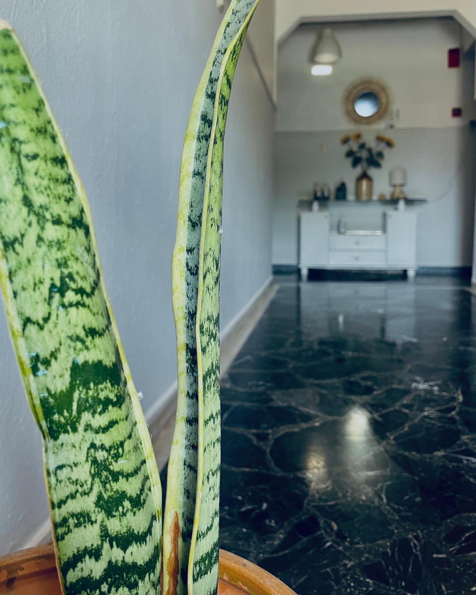 Aktaion Hotel Skala Alykis Exteriör bild