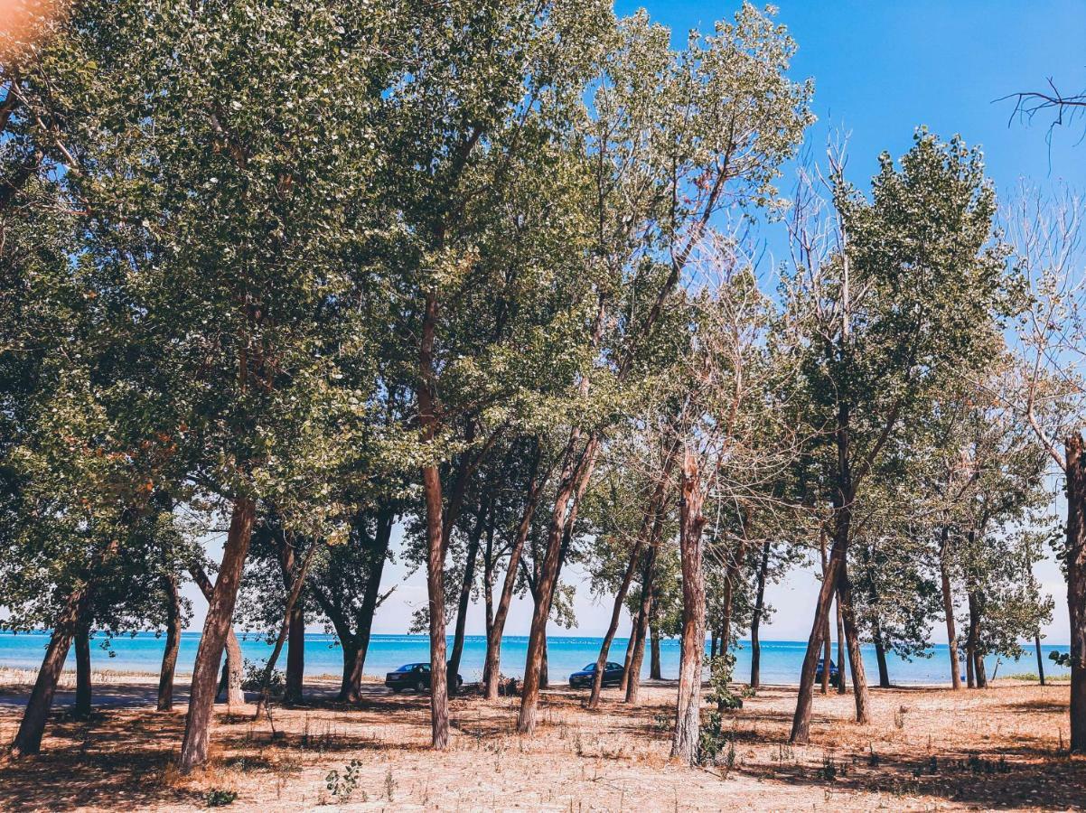 Aktaion Hotel Skala Alykis Exteriör bild