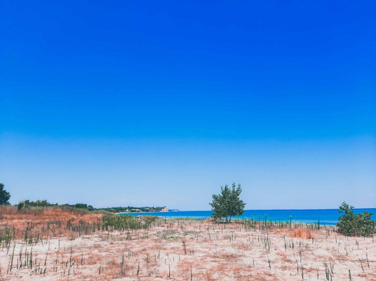 Aktaion Hotel Skala Alykis Exteriör bild